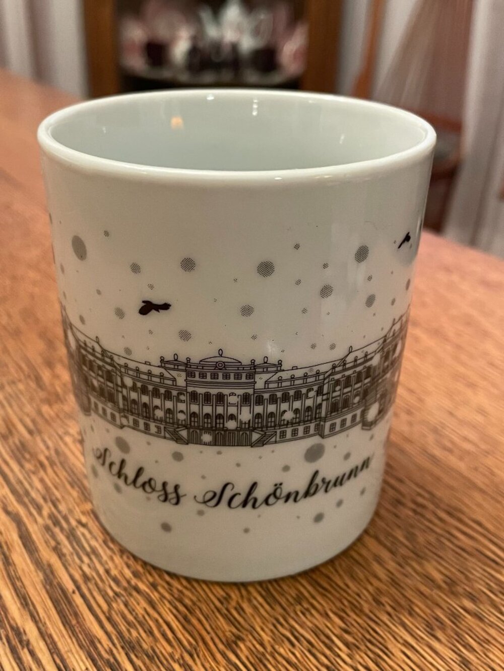 Schloss Schonbrunn (Schonbrunn Palace) Vienna Austria Souvenir Coffee Cup Mug